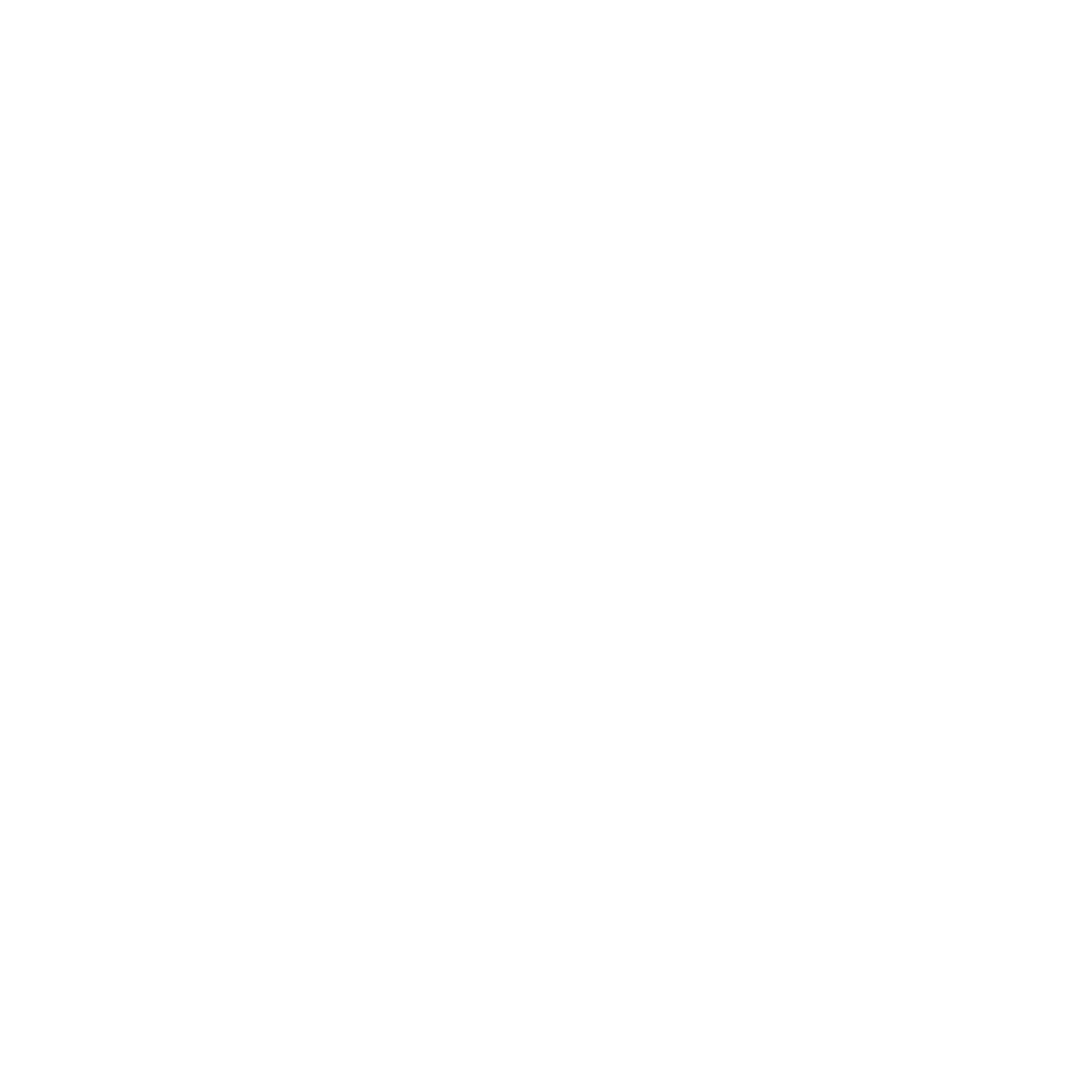Val Xperience Logo